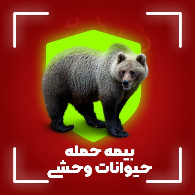 بیمه حمله حیوانات